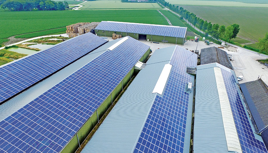   案例分类  Europe | World-leading Solar Module Manufacturer | Talesun Solar