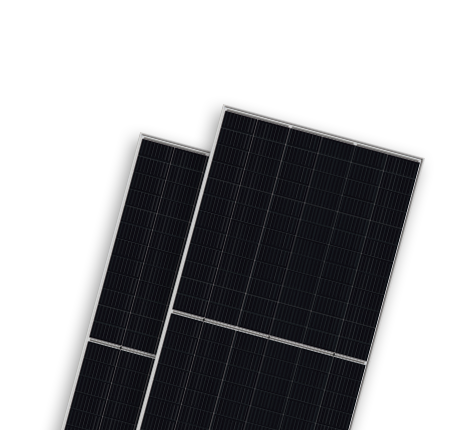   光伏组件分类  Monofacial Modules-BISTAR | World-leading Solar Module Manufacturer | Talesun Solar