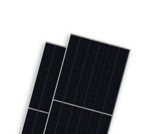   光伏组件分类  Monofacial Modules-BISTAR | World-leading Solar Module Manufacturer | Talesun Solar
