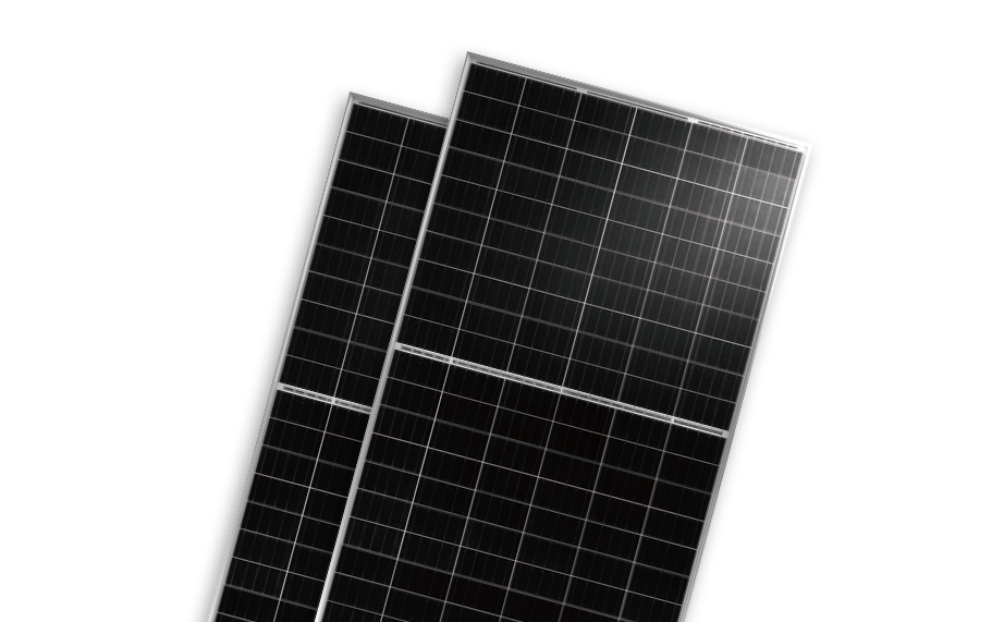   BISTAR TP6H60M &#038; TP6H60M(H) | World-leading Solar Module Manufacturer | Talesun Solar