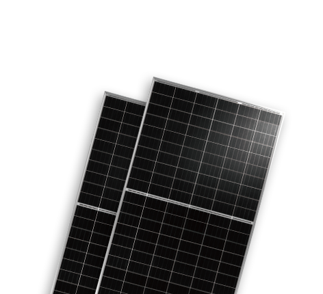   光伏组件分类  Monofacial Modules-BISTAR | World-leading Solar Module Manufacturer | Talesun Solar