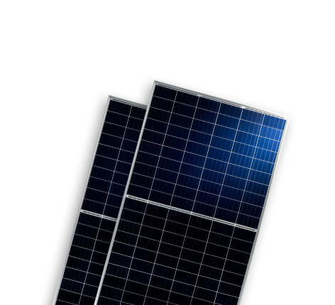   光伏组件分类  Monofacial Modules-BISTAR | World-leading Solar Module Manufacturer | Talesun Solar