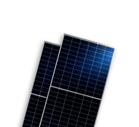   光伏组件分类  Monofacial Modules-BISTAR | World-leading Solar Module Manufacturer | Talesun Solar