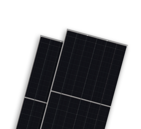   光伏组件分类  Bifacial Modules-BIPRO | World-leading Solar Module Manufacturer | Talesun Solar
