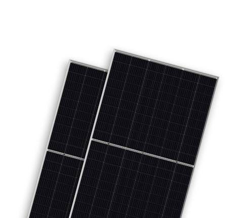   光伏组件分类  Bifacial Modules-BIPRO | World-leading Solar Module Manufacturer | Talesun Solar