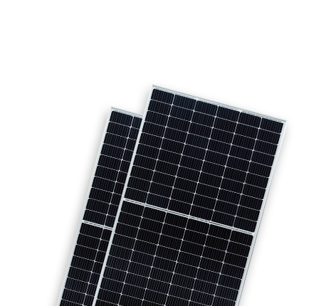   光伏组件分类  Bifacial Modules-BIPRO | World-leading Solar Module Manufacturer | Talesun Solar
