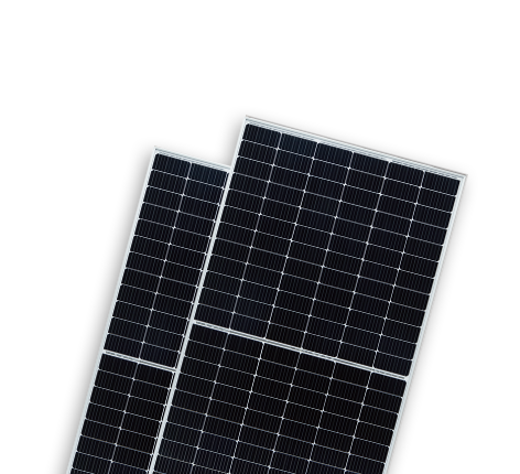   BIPRO TM8G60M 18BB | World-leading Solar Module Manufacturer | Talesun Solar