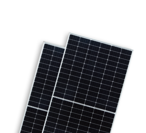   BIPRO TM8G60M 18BB | World-leading Solar Module Manufacturer | Talesun Solar