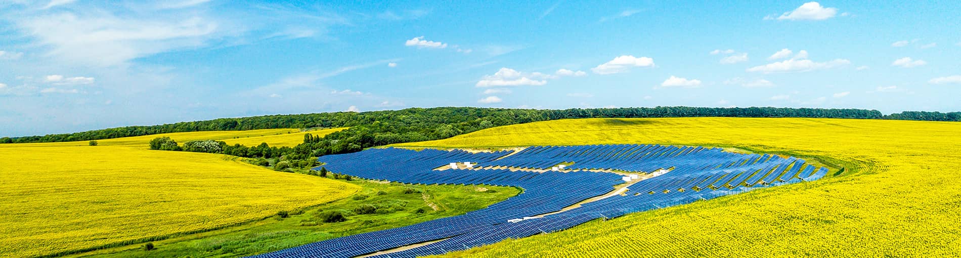   案例分类  China | World-leading Solar Module Manufacturer | Talesun Solar