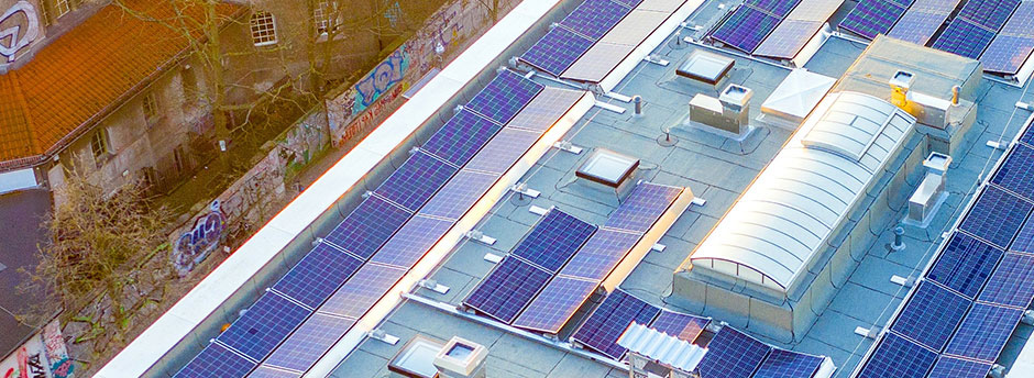 World-leading Solar Module Manufacturer | Talesun Solar