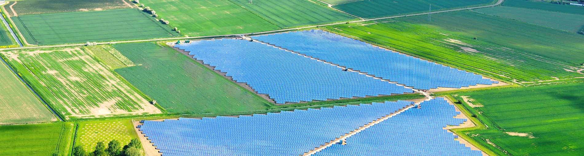   光伏组件分类  Bifacial Modules-BIPRO | World-leading Solar Module Manufacturer | Talesun Solar