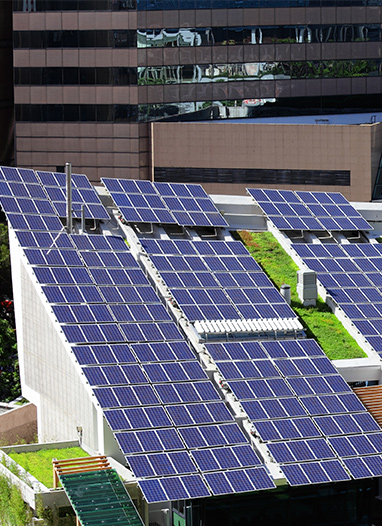 乐盈welcome(中国区)-官方网站