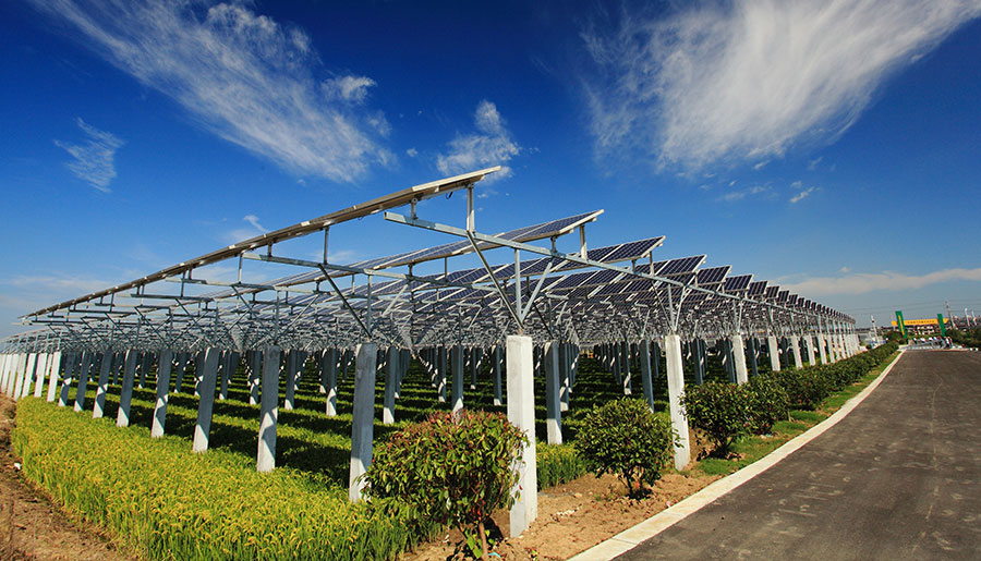   案例分类  中国 | 全球领先的光伏组件制造商 | 乐盈welcome光伏